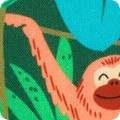 Fabric Novelty Prints